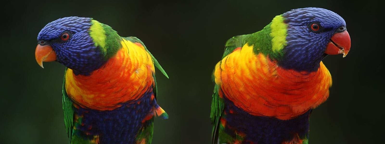 Difficult conversations: to have or not to have?